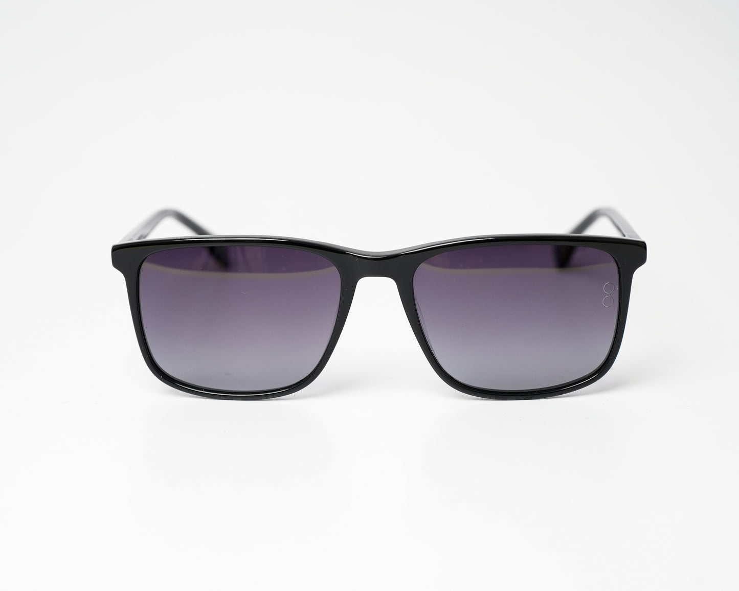 Voyage Wayfarer Ace II Polarized