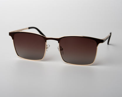 Wayfarer Steel