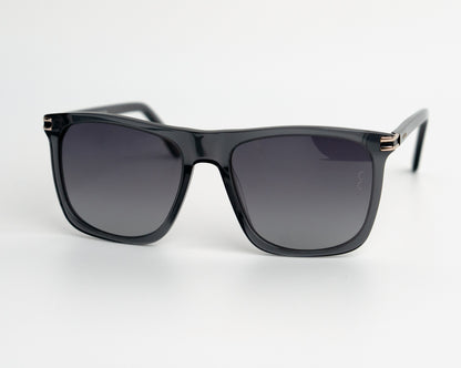 The Icon Luxe Polarized