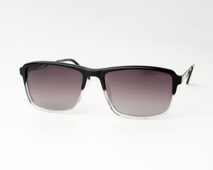 Neo Wayfarer Acetate Steel