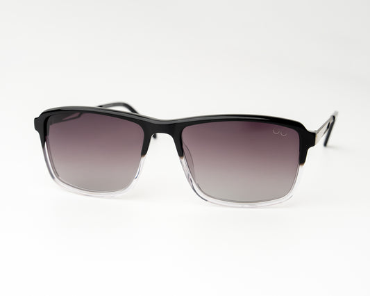 Neo Wayfarer Acetate Steel