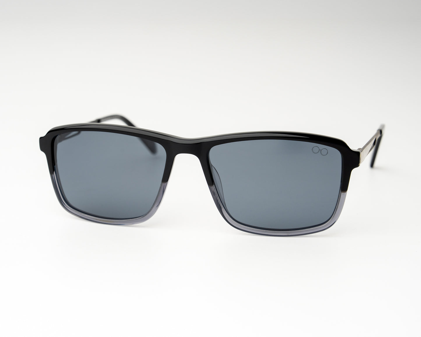 Neo Wayfarer Acetate Steel