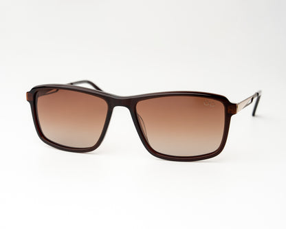 Neo Wayfarer Acetate Steel