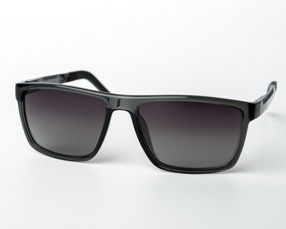Sprint Polarized Wayfarer Sport Polarized