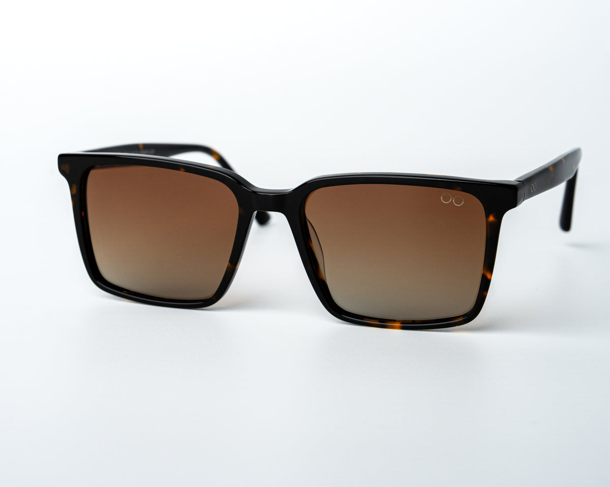 Square Wayfarer Polarized