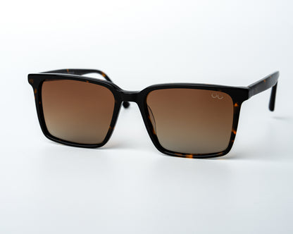Square Wayfarer Polarized