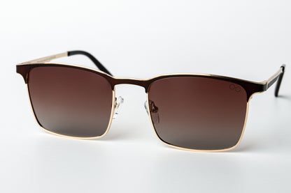 Wayfarer Steel