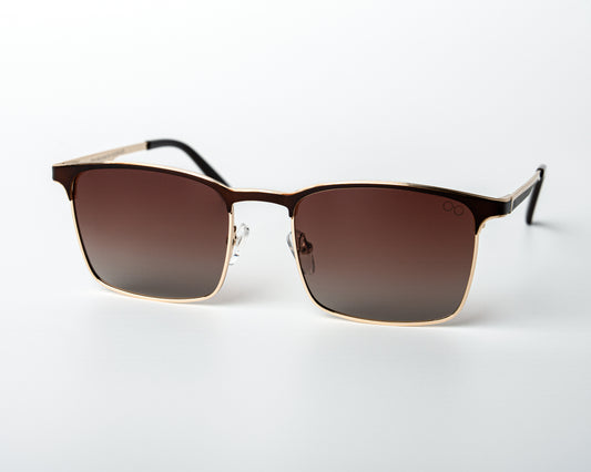 Wayfarer Steel