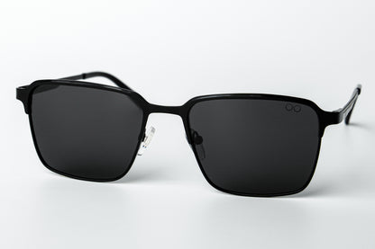 Wayfarer Lite Steel