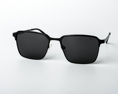 Wayfarer Lite Steel