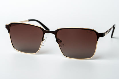 Wayfarer Lite Steel
