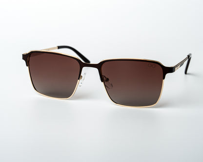 Wayfarer Lite Steel