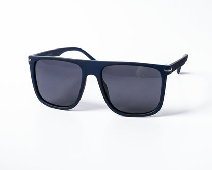 Polarized Wayfarer