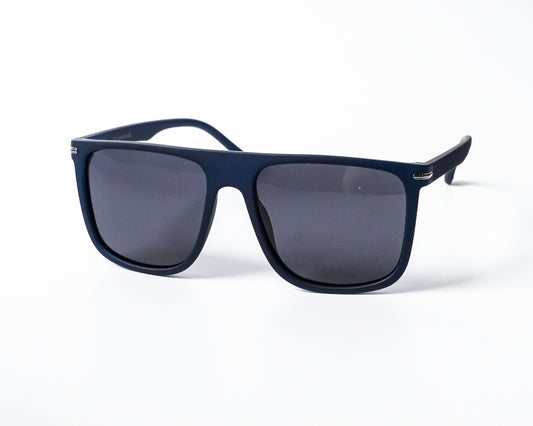 Polarized Wayfarer