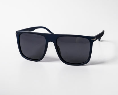 Polarized Wayfarer